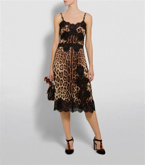 dolce and gabbana leopard print